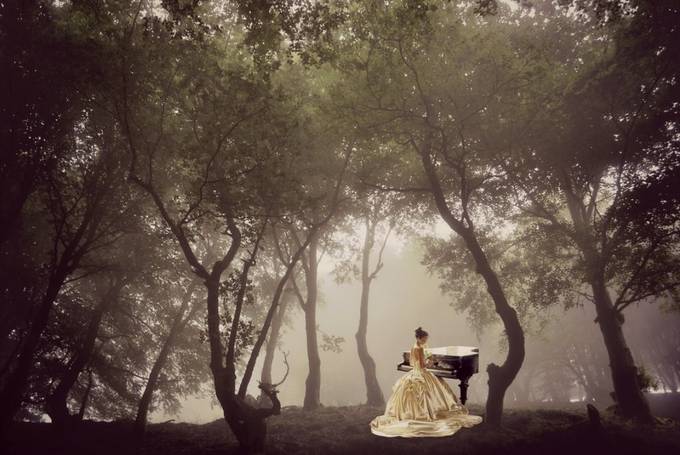 Pianist in the forest by MLazaroMartin - The Sound Of Music Photo Contest