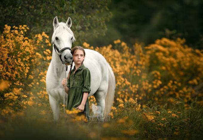 The end of summer by clareahalt - In Love With Horses Photo Contest