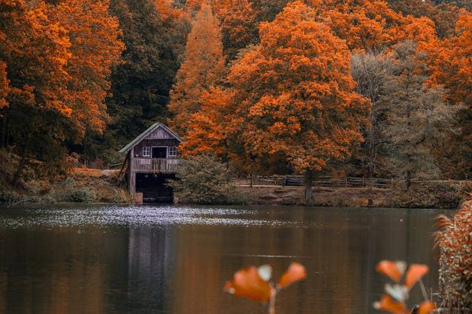 Boathouse in the forest by AlephD - Capture The Outdoors Photo Contest