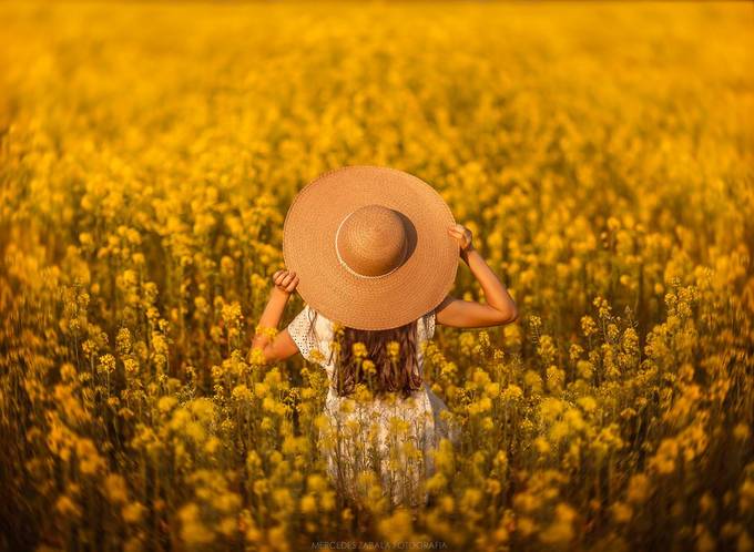 Golden fields by mariamercedeszabala - Covers Photo Contest Volume7