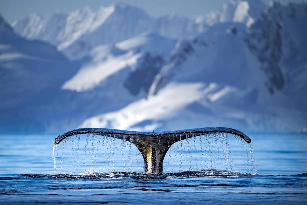 64 Incredible Photos Of Nature That Will Wow You