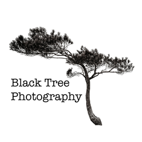 BlackTreePhotography avatar