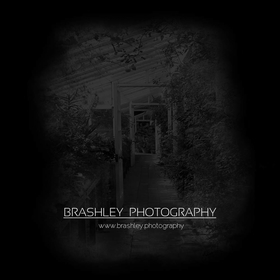 BrashleyPhotography avatar