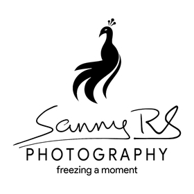 SannyRS avatar