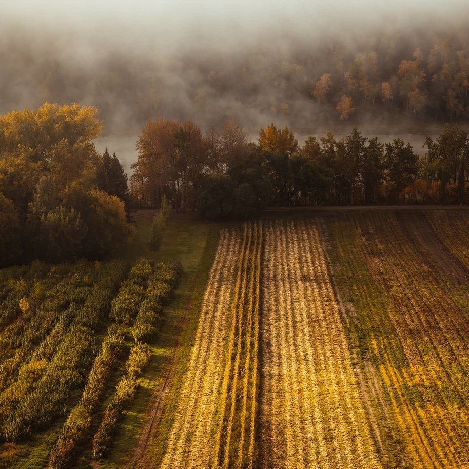 Morning Fog by NVisual - Capture Patterns Photo Contest