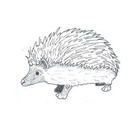 byhedgehog avatar