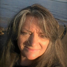 LynnHolley avatar