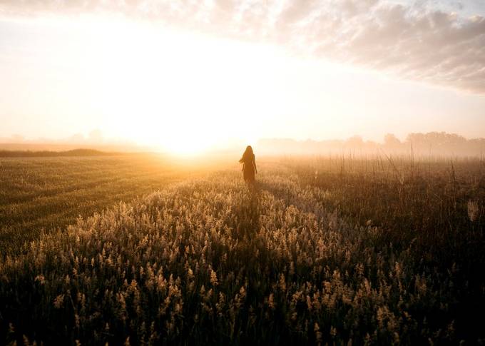 23+ Photographers Share How To Capture Sunlight Shine
