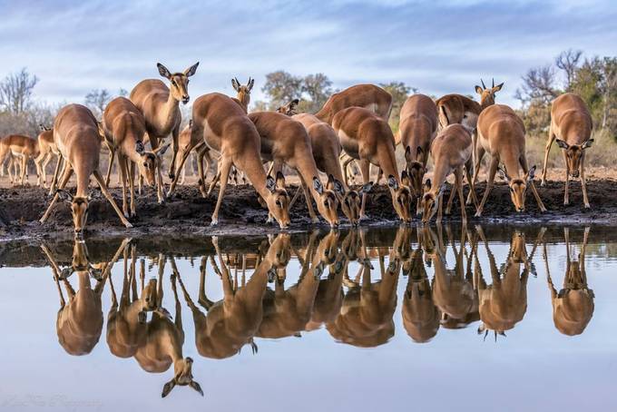 44 Examples On How To Photograph Wildscapes
