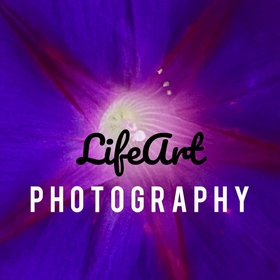 Lifeart_Photography avatar