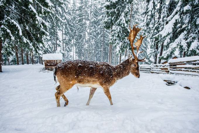 23+ Winter Moments Captured By Creative Photographers