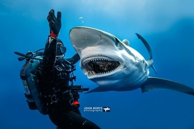 Fun Underwater Photo Contest Winner