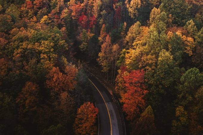 A Photographer's Guide to Capturing Fall
