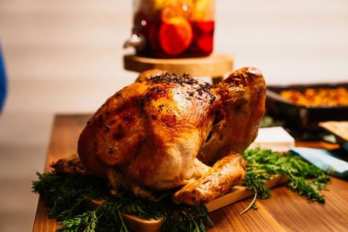 5 Fun Ways to Capture Your Turkey in All Its Glory