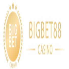 bigbet88vninfo avatar